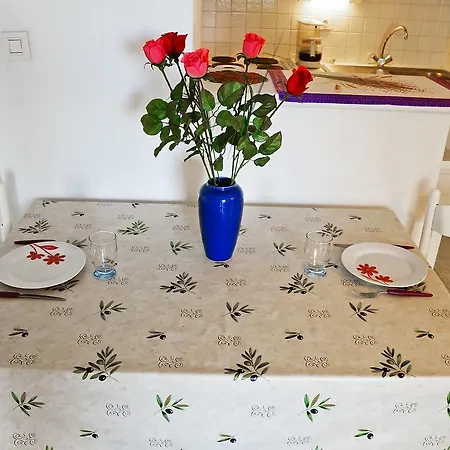Apartment Palais Maya *